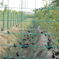 Welded Wire Mesh Europe Security Fence